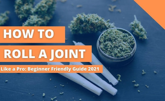 How to Roll a Joint - Learning How to Roll Like a Pro - Daily High Club