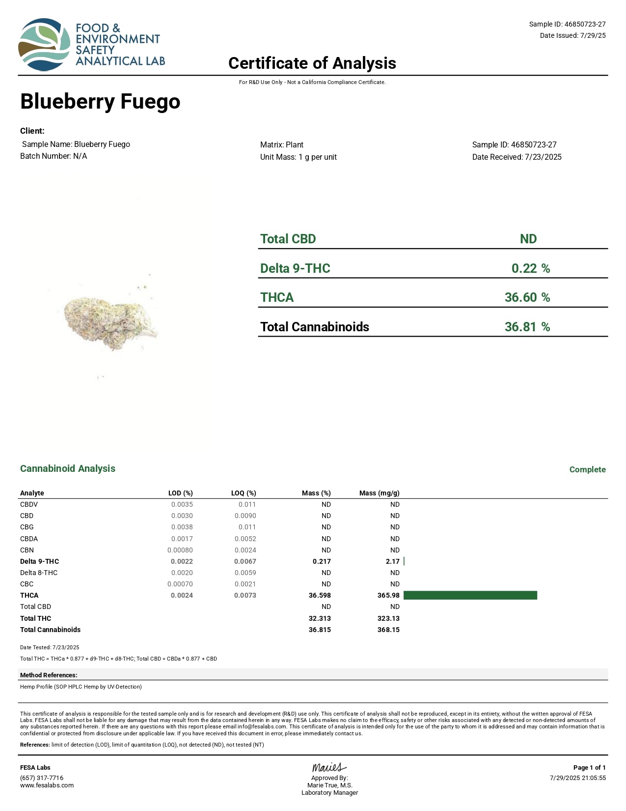 Canvast Premium Indoor THCA Flower | 3.5g