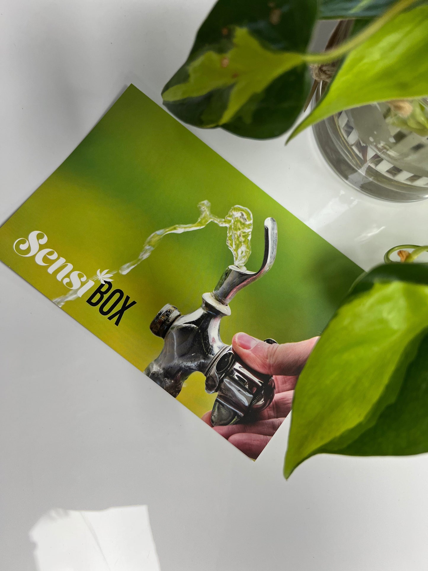 Close-up of The Bubblah, with its glass construction highlighted against a blurred green background.