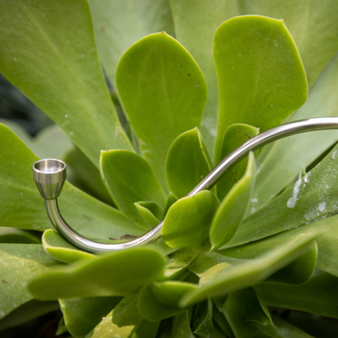 A close-up view showcases the sleek, metallic finish of the WizardStix Titanium Wizard Pipe, set against a textured green backdrop.