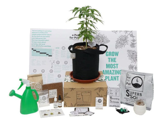 a Pot for Pot grow kit Small Complete Pot Grow Kit (2 gallon)