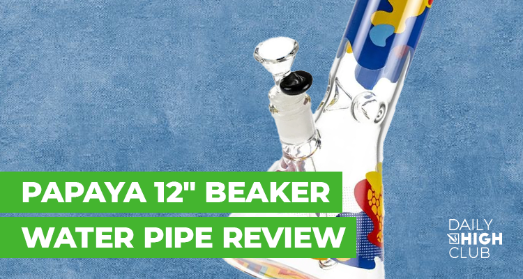 Papaya 12" Beaker Water Pipe Review