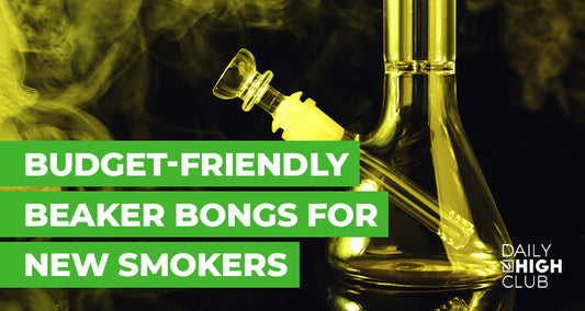 Budget-Friendly Beaker Bongs for New Smokers