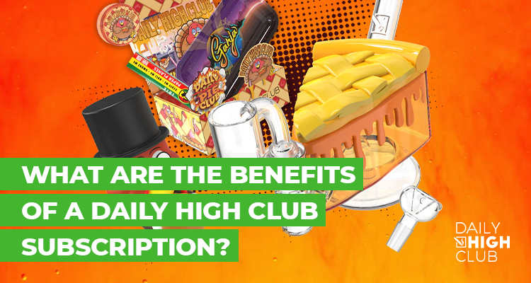 What are the Benefits of a Daily High Club Subscription?