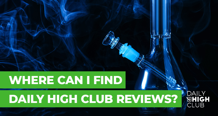 Is DHC Worth It?
