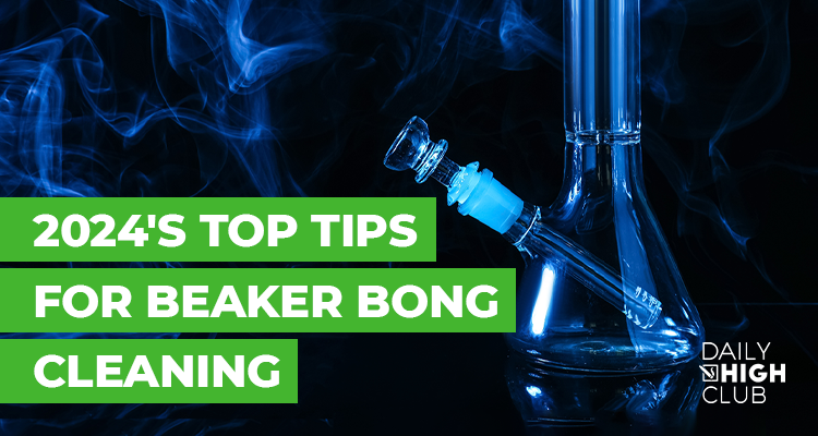 How to Clean a Bong (Water Pipe): The Complete Step-by-Step Guide