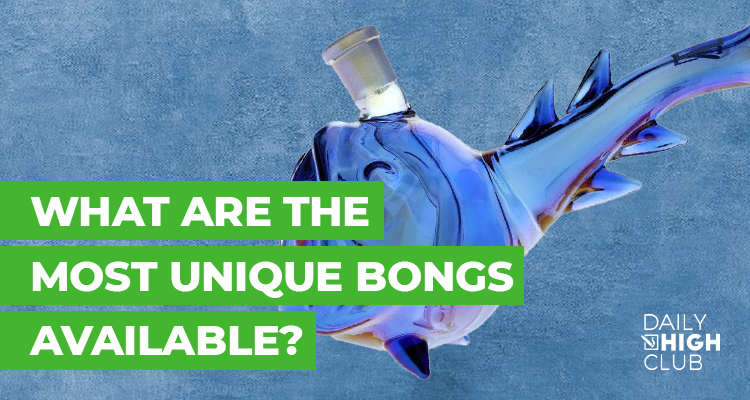 What Are the Most Unique Bongs Available?