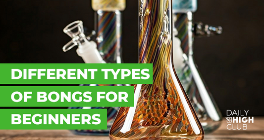 Beginner-Friendly Bongs