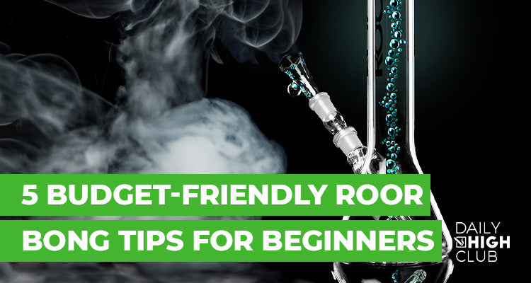 5 Budget-Friendly Roor Bong Tips for Beginners