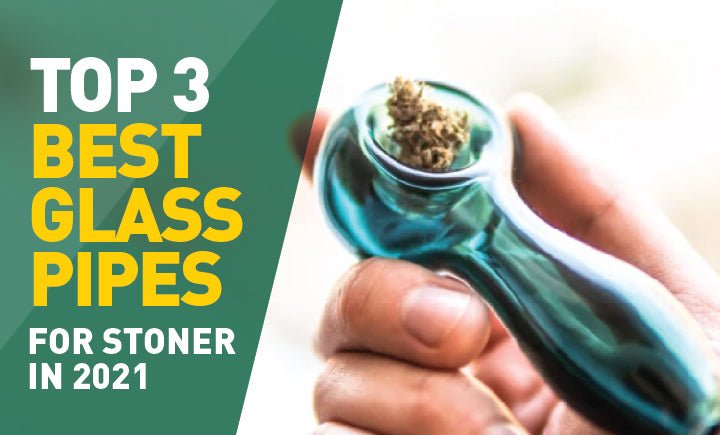 Top 3 Best Glass Pipes For Stoners in 2021 - Daily High Club