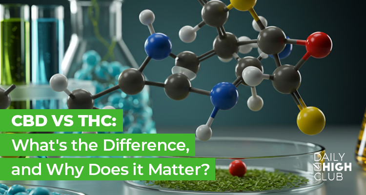 CBD vs THC: What's the Difference, and Why Does it Matter?