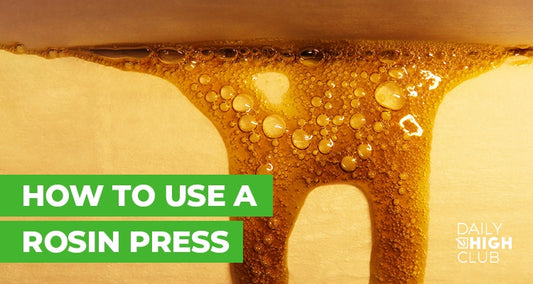 how to use a rosin press