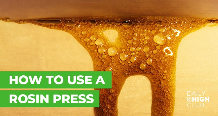 how to use a rosin press