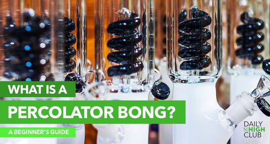 The Best Percolator Bongs: Our Picks - Daily High Club