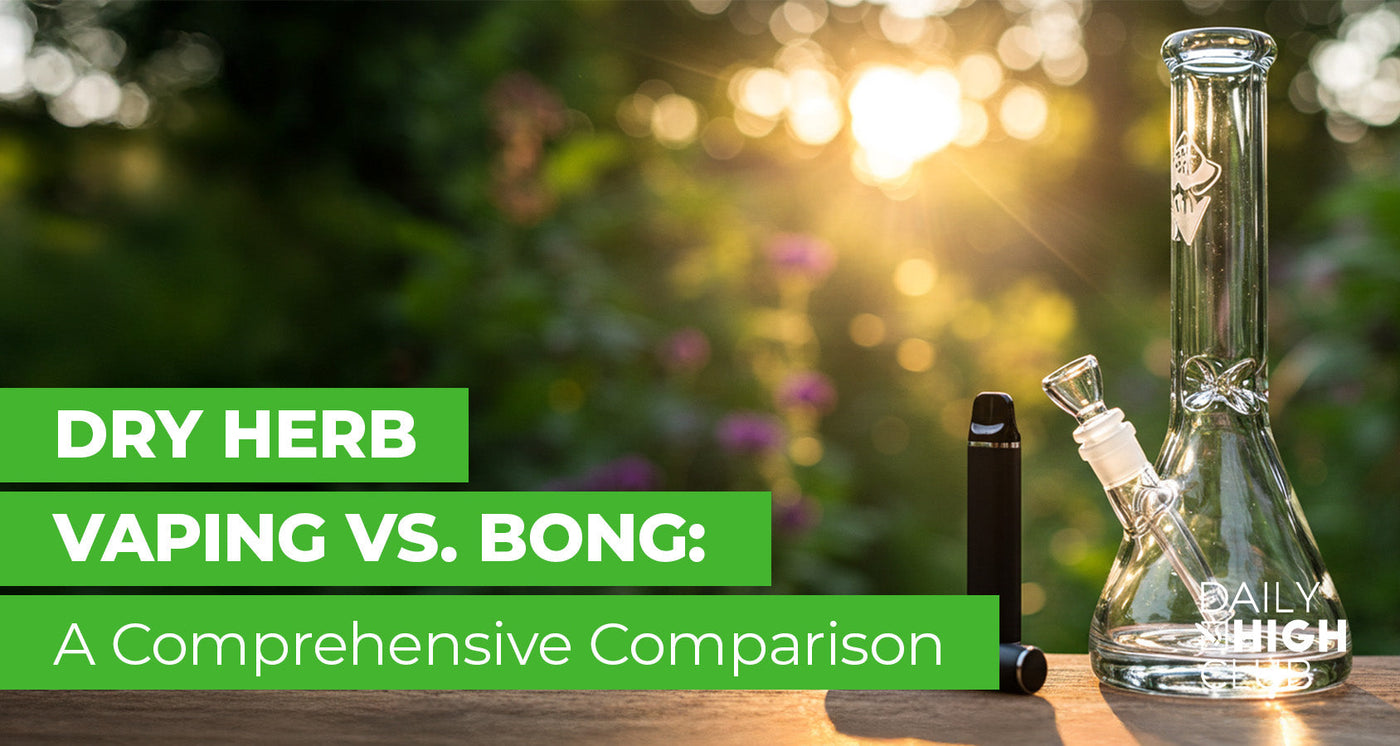 Dry Herb Vaping vs Bong: Which is Better? | DHC | Daily High Club Dry Herb Vaping vs Bong: Which is Better? | DHC | Daily High Club