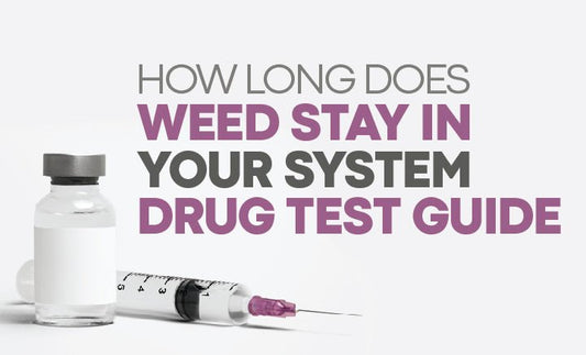 How Long Does Weed Stay in Your System | Drug Test Guide - Daily High Club