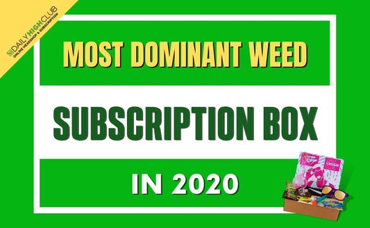 Most Dominant Weed Subscription Box in 2022 - Daily High Club