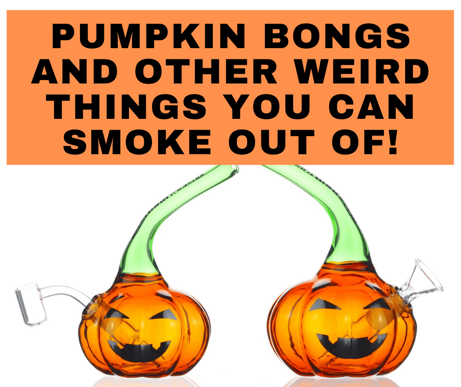 Smoke to Table: Pumpkin Bong and Other Weird Things to Smoke Out Of - Daily High Club