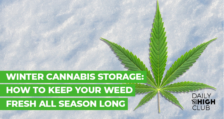 Winter Cannabis Storage: How to Keep Your Weed Fresh All Season Long ?