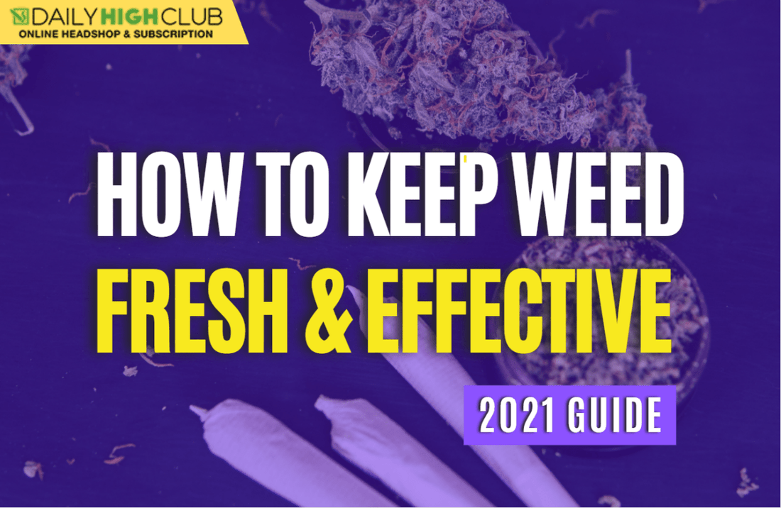 How To Keep Weed Fresh & Effective 2021 Guide - Daily High Club