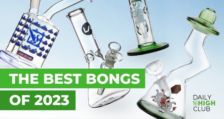The Best Bongs of 2023 - Daily High Club