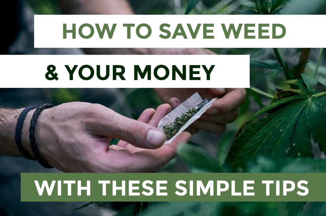 How To Save Weed & Your Money With These Simple Tips - Daily High Club
