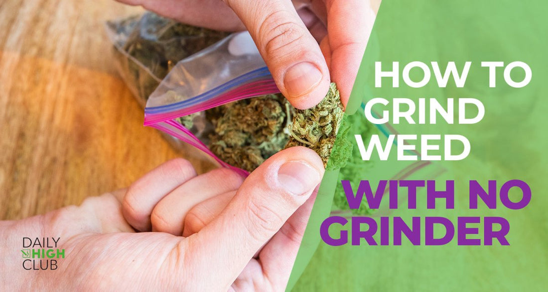 How To Grind Weed Without A Grinder - Daily High Club