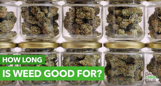 How Long Does Weed Stay Good? - Daily High Club