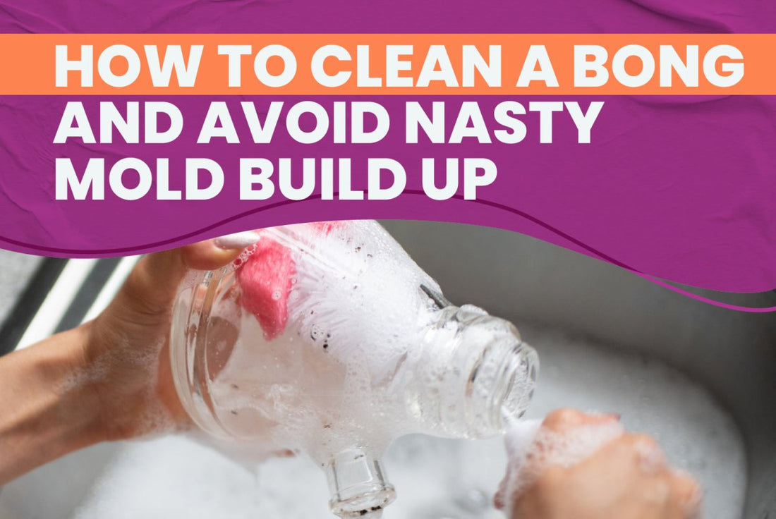 How to Clean a Bong and Avoid Nasty Mold Build Up