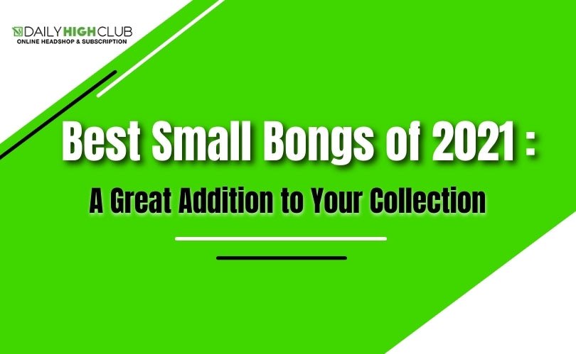 Best Small Bongs of 2021: A Great Addition to Your Collection - Daily High Club