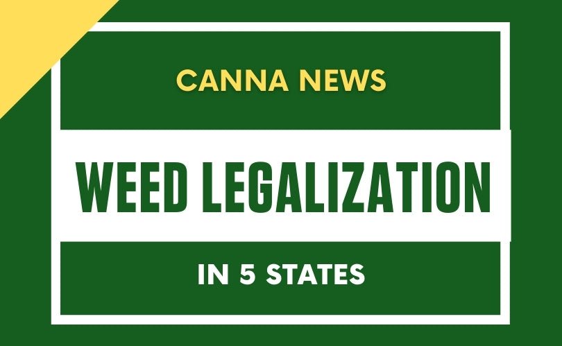 Weed Legalization - Canna News - Daily High Club