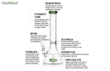 How Does a Bong Work? - Daily High Club