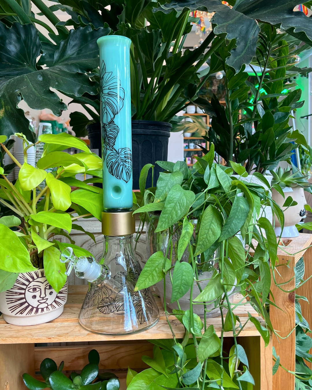 Prism Monstera Tall Beaker