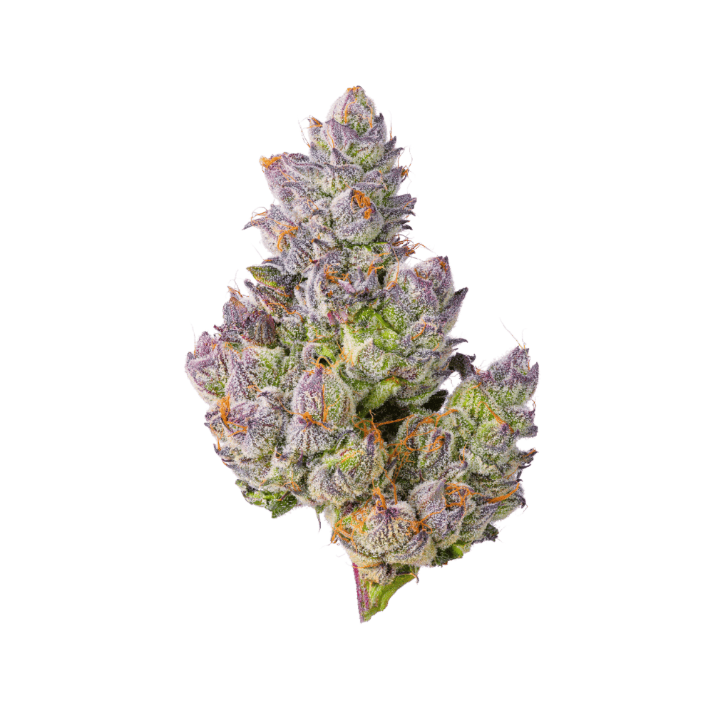 Papa's Herb GELATO 33 INDOOR THCa FLOWER