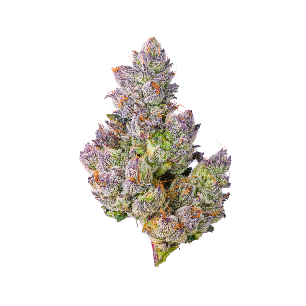 Papa's Herb INFUSED 1G GELATO 33 HYBRID