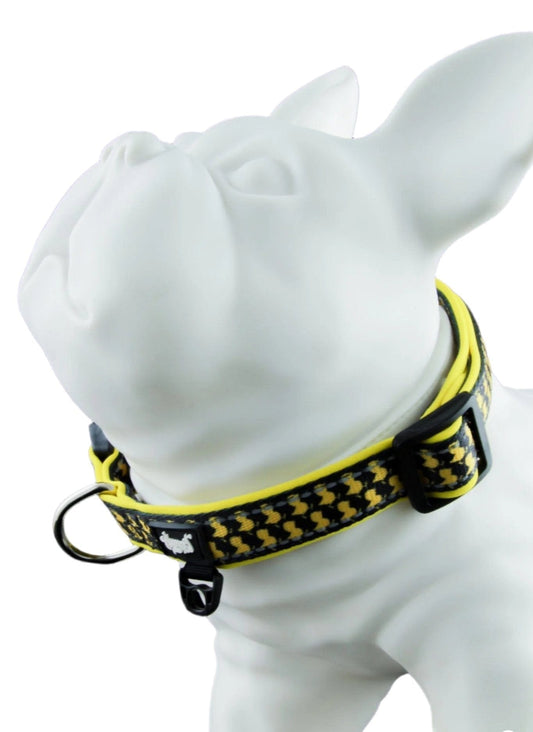 HeadyPet Pet Supplies Dog Collar