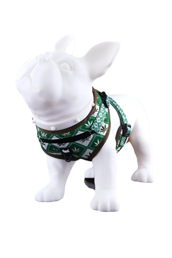 HeadyPet Pet Supplies Argyle / Small Dog Harness