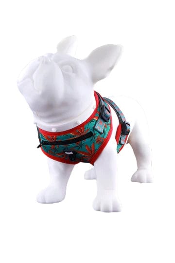 HeadyPet Pet Supplies Caribbean / Small Dog Harness