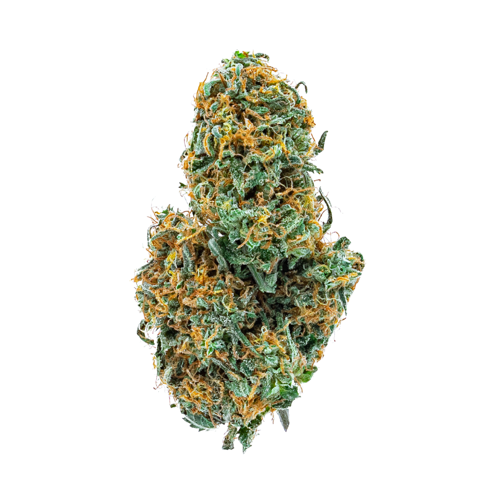 Papa's Herb INFUSED 5 PACK GSC HYBRID