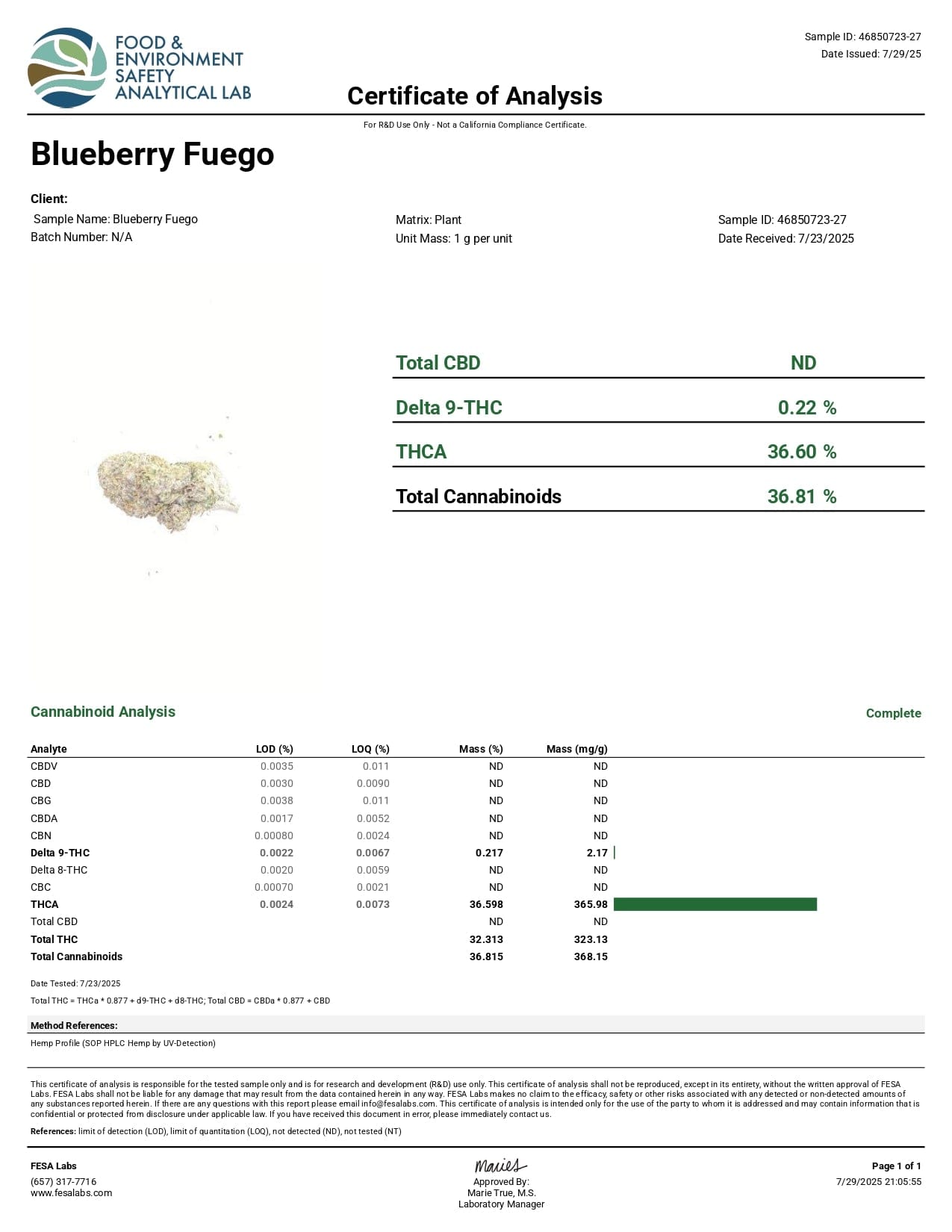 Canvast Premium Indoor THCA Flower | 3.5g