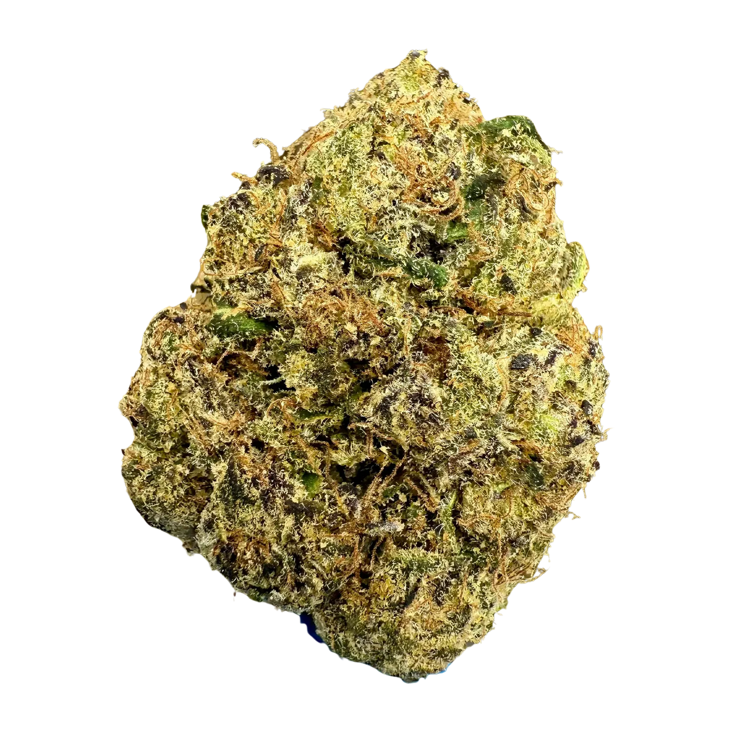 Stoner Blue Nerdz THCA Flower - Stoner Exotic