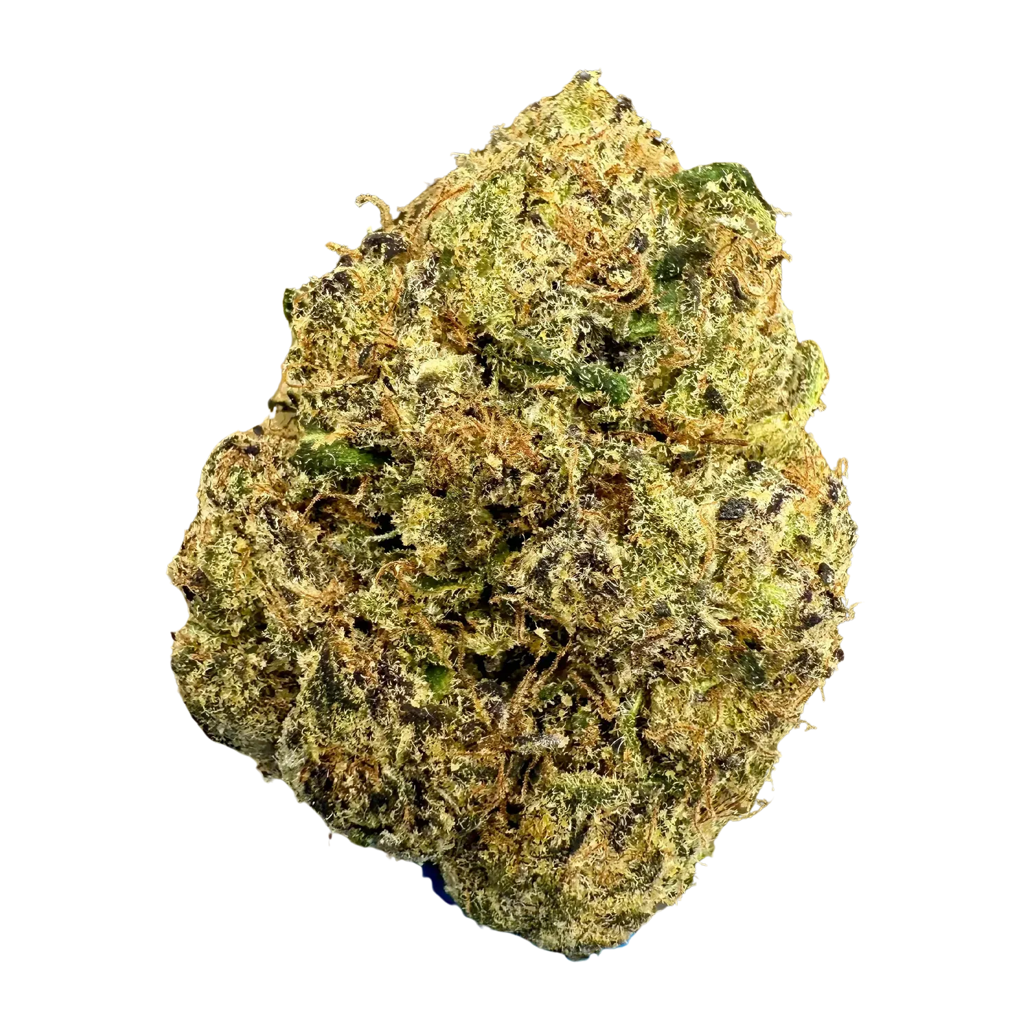 Stoner Blue Nerdz THCA Flower - Stoner Exotic