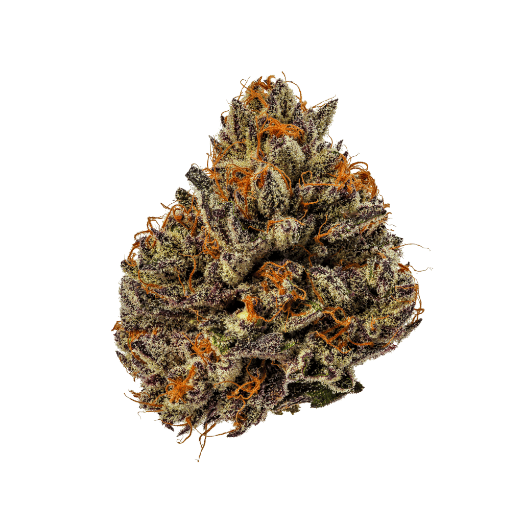 TROPICANA COOKIES INDOOR THCa FLOWER