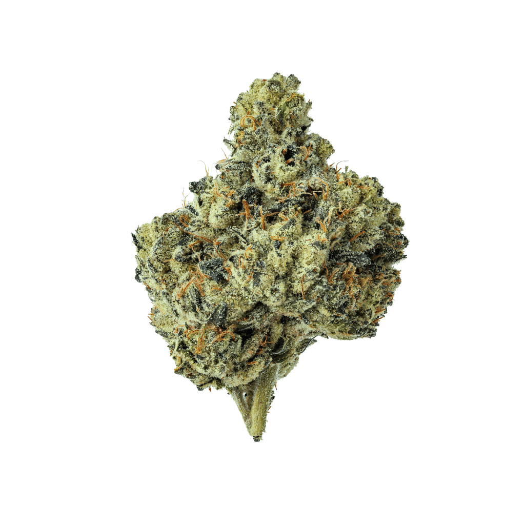 Papa's Herb WATERMELON Z INDOOR THCa FLOWER