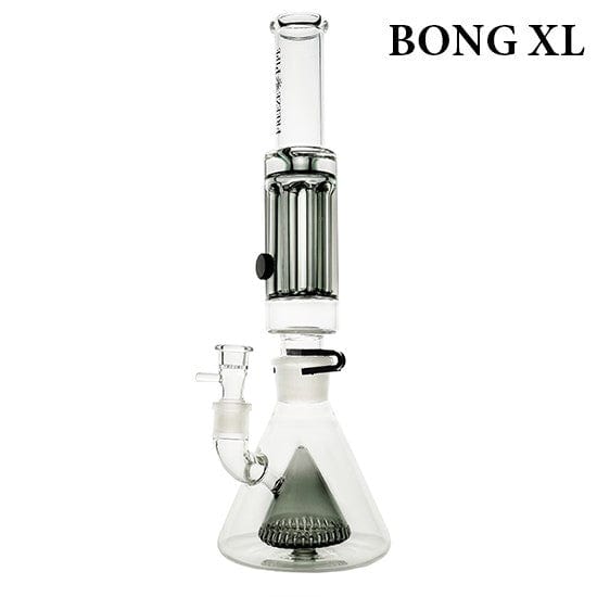 Front view of the Freeze Pipe XL Bong, a clear glass pipe with a flared base and intricate detailing near the mouthpiece.