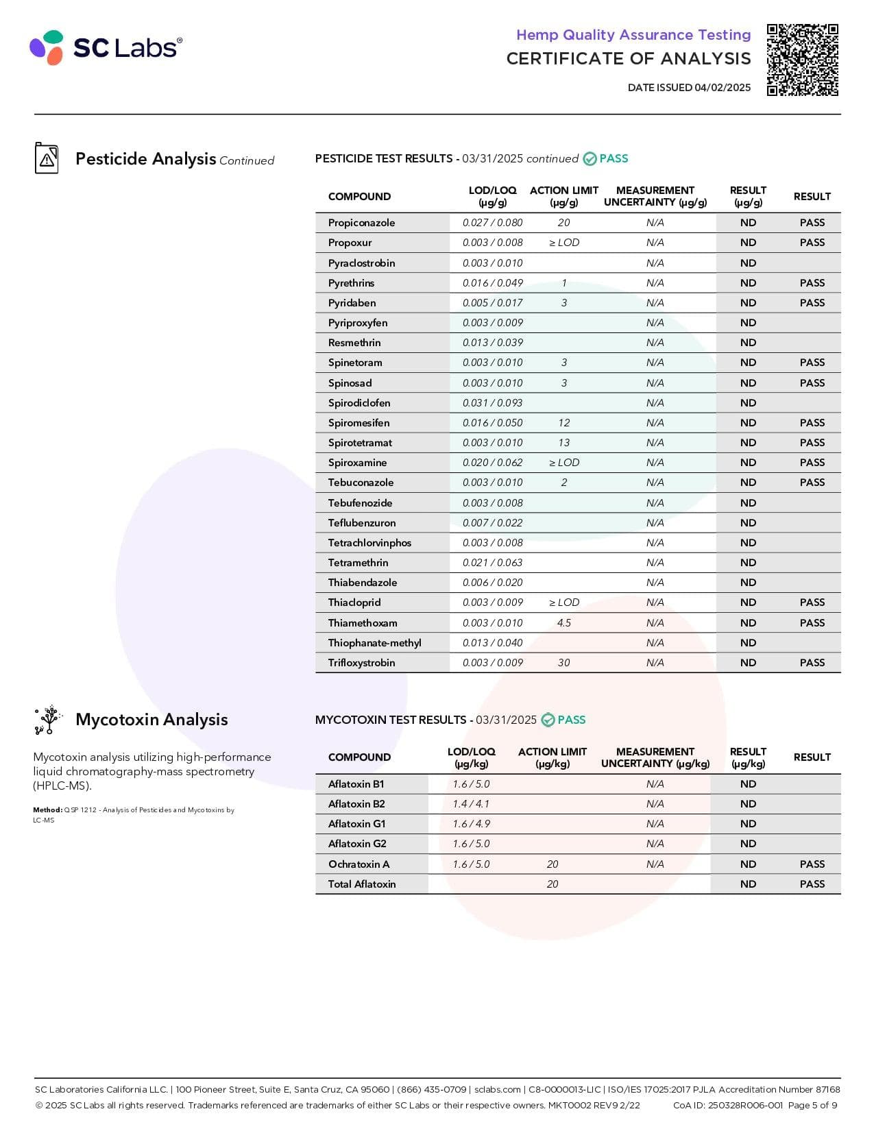 Gift Guru PAX High Purity D9 THC Gummies | 100mg | 10pc Pack