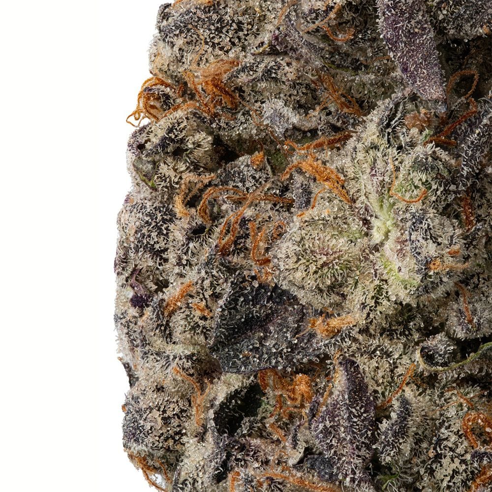 WNC CBD DELTA9 THC WNC CBD High THCA Indoor Living Soil Flower | 3.5g