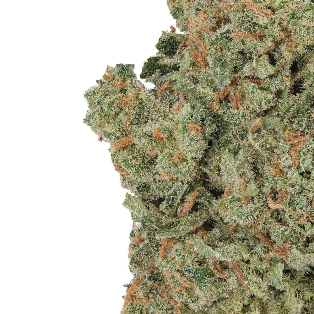 WNC CBD DELTA9 THC WNC CBD High THCA Indoor Living Soil Flower | 3.5g