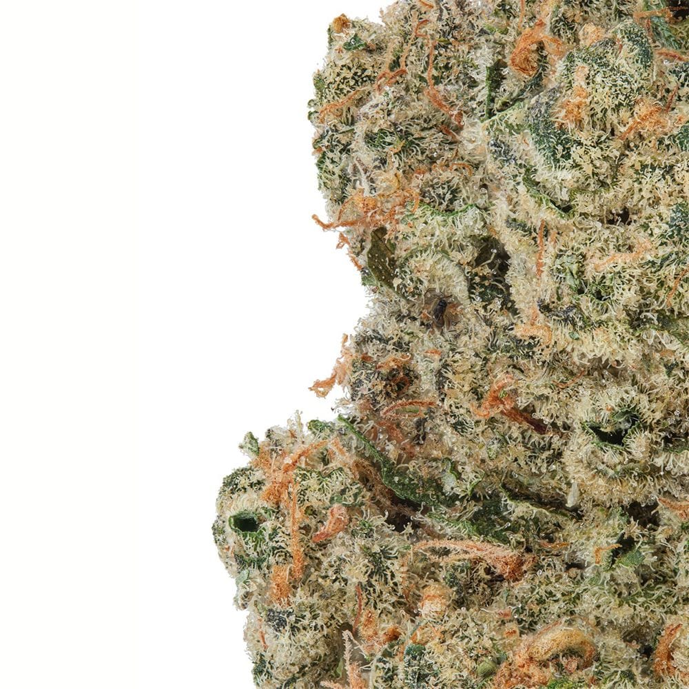 WNC CBD DELTA9 THC WNC CBD High THCA Indoor Living Soil Flower | 3.5g