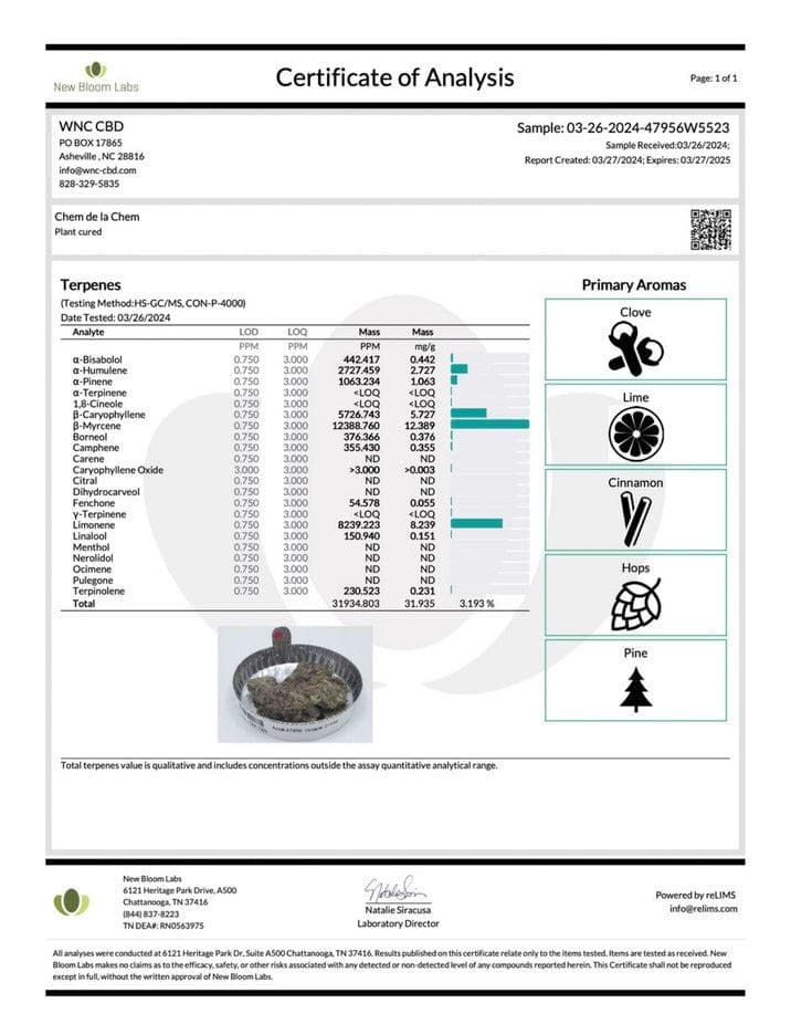 Gift Guru WNC CBD High THCA Indoor Living Soil Flower | 3.5g